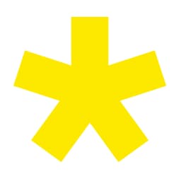 Logo de TOO MANY FLASH
