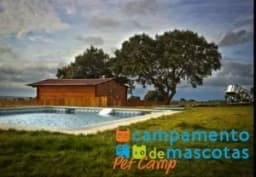 Logo de Campamento de Mascotas