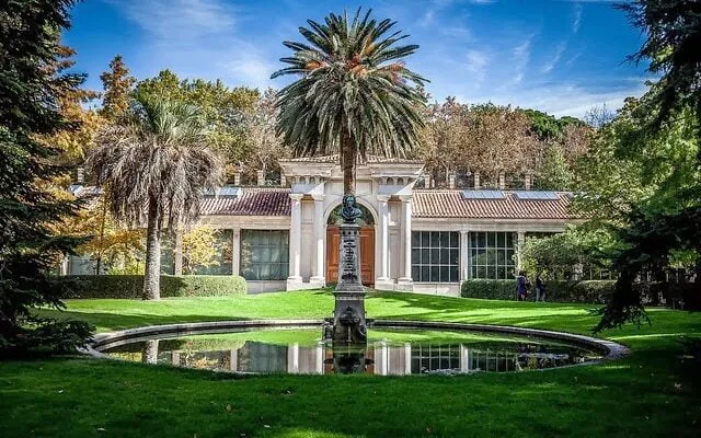 Estanque frente al Pabellón Villanueva del Real Jardín Botánico, con una gran palmera detrás