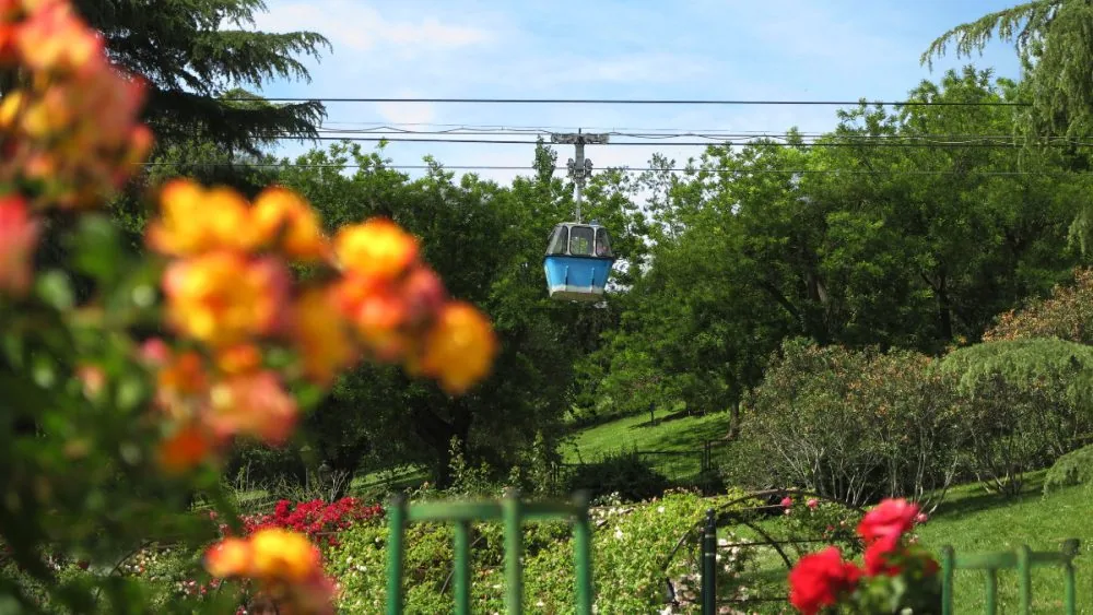 Cabina del Teleférico sobrevolando el Parque del Oeste, con rosales en flor en primer plano