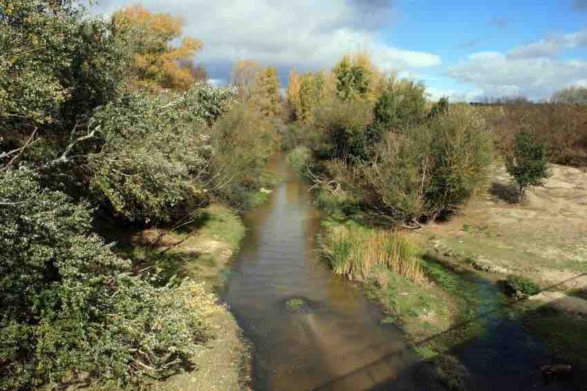 Cauce del río Guadarrama entre la vegetación de la ribera