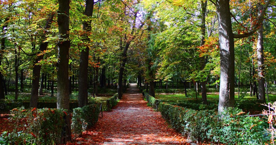 Parque del Retiro