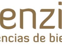 Logo-web