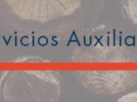 gcg-servicios-auxiliares-españa-1