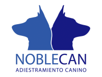 logo-noblecan-color-RGB-qcon913gyxvoph9e05xr0hwbv7lxlbrjc5onmfr90w.png