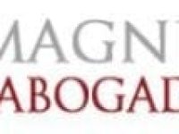 magnum-abogados-2-300x80-1.jpg